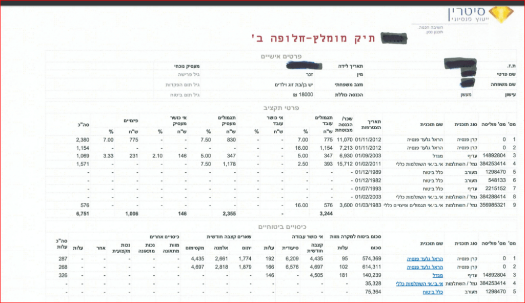 תיק פנסיוני מומלץ - חלופה ב - תמונה